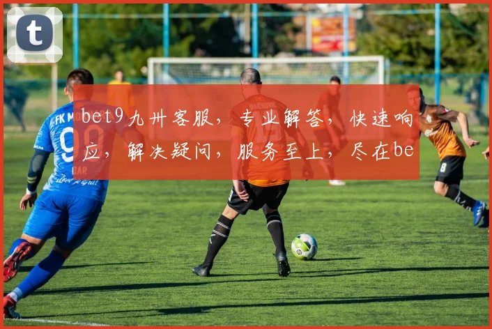 bet9九卅客服，专业解答，快速响应，解决疑问，服务至上，尽在bet9九卅