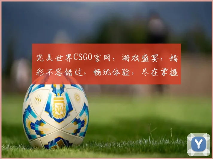 完美世界CSGO官网，游戏盛宴，精彩不容错过，畅玩体验，尽在掌握