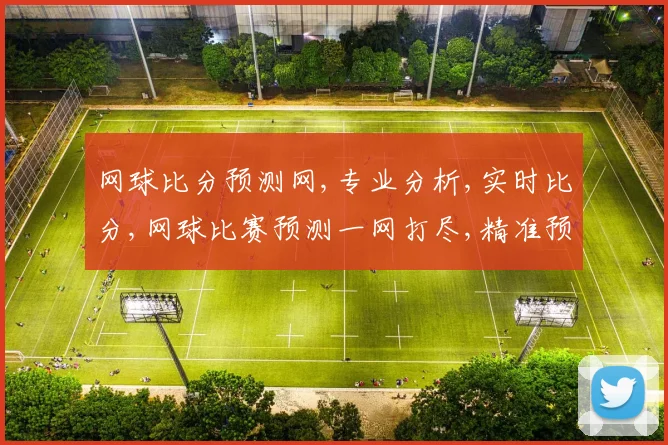 网球比分预测网,专业分析,实时比分,网球比赛预测一网打尽,精准预判,助您赢球