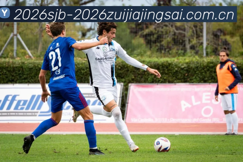 世界杯2026最佳观赛城市平台生态图